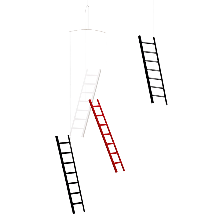 7 Steps 4 Ladders