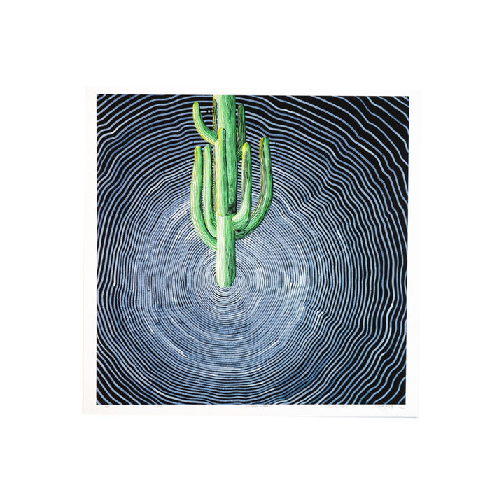 Saguaro Vortex - Andy Brown